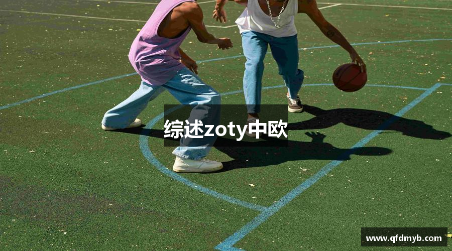 综述zoty中欧